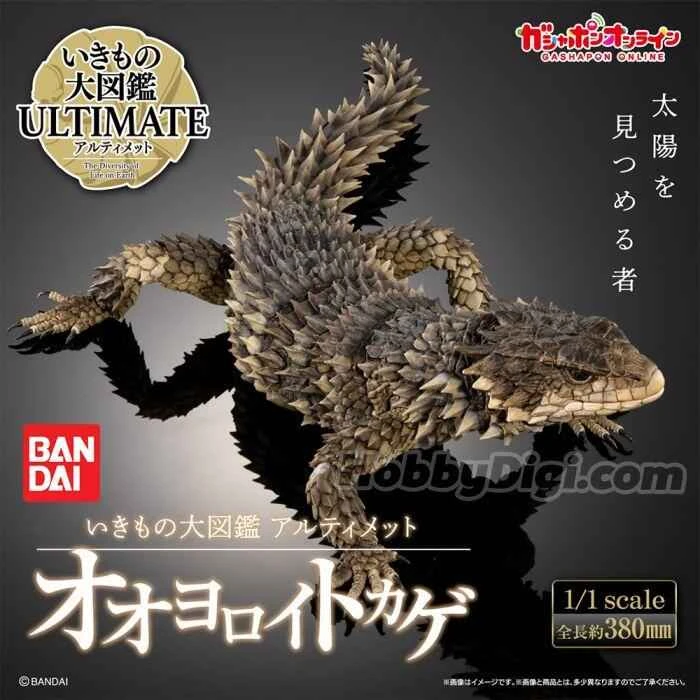 (Pre-order) November 2025 BANDAI Distributed Edition Giant Ring-tailed Lizard Toy - Complete Illustrated Guide to Creatures