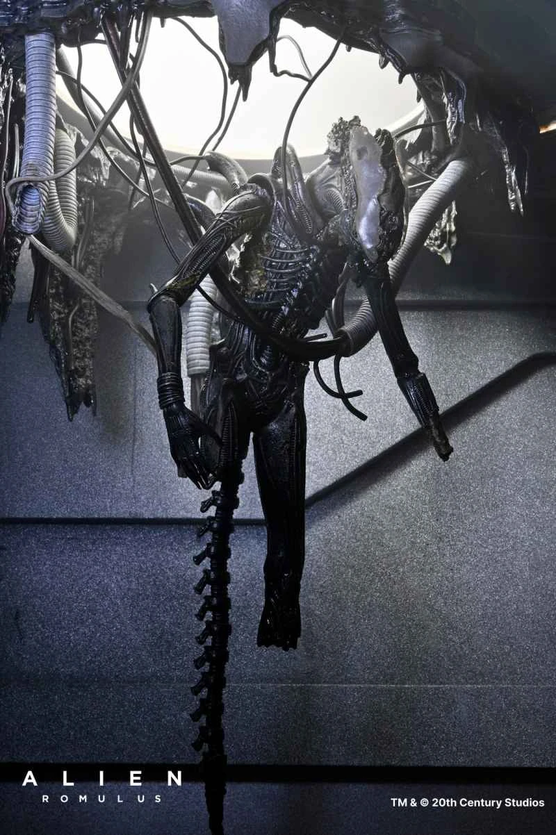 (Pre-order) July 2025 NECA Xenomorph XX121 Laboratory Suspension Deluxe 7-inch Articulated Complete Figure