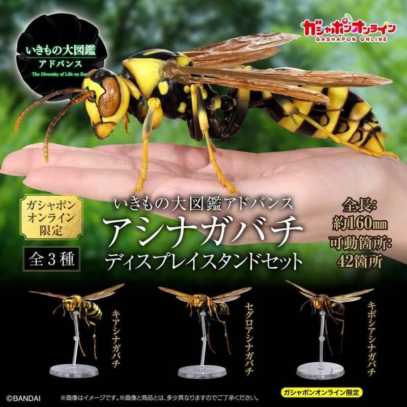 (Pre-order) January 2026 BANDAI Distributor Edition Biological Encyclopedia: Wasp Subfamily Display Stand Set Box Toy