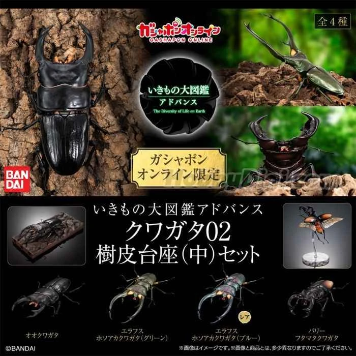 (Pre-order) October 2025 BANDAI Distributed Edition Stag Beetle Encyclopedia 02 with Bark Base (Medium) Box Toy