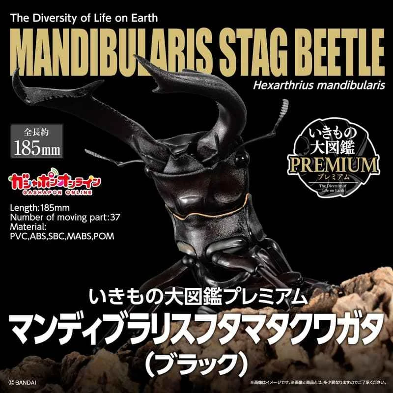 (Pre-order) March 2026 BANDAI Distributed Edition of the PREMIUM Creature Encyclopedia: Giant Mandibles Stag Beetle (Black) Box Toy