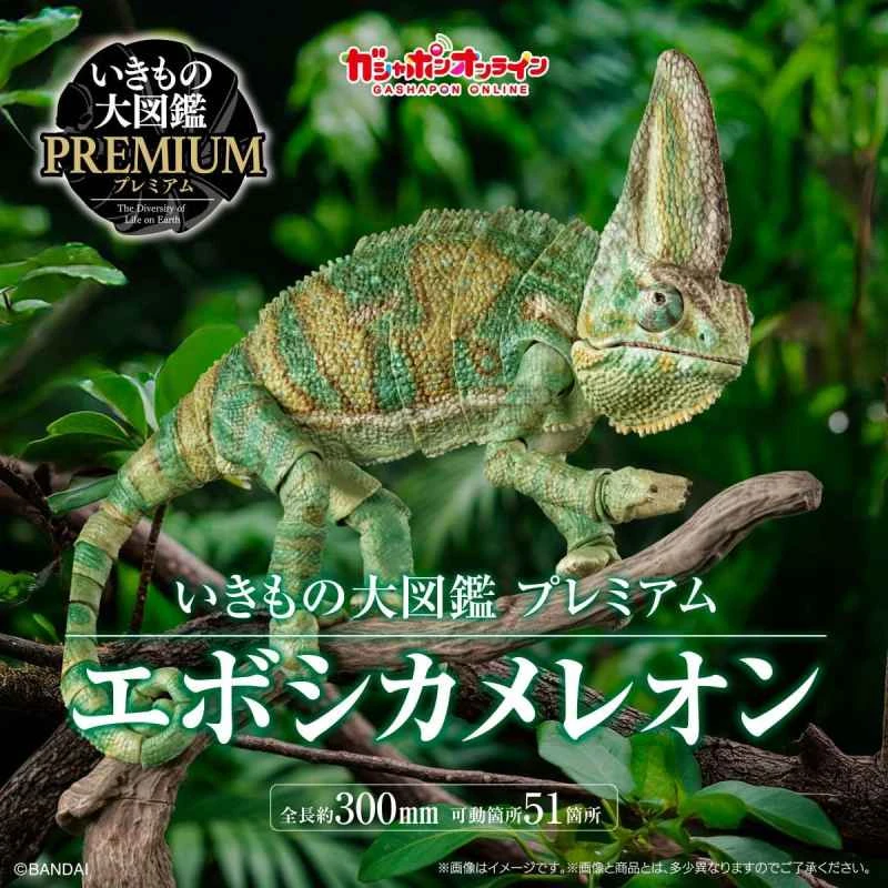 (Pre-order) May 2026 BANDAI Distributor Edition Creature Encyclopedia PREMIUM Veiled Chameleon Box Toy